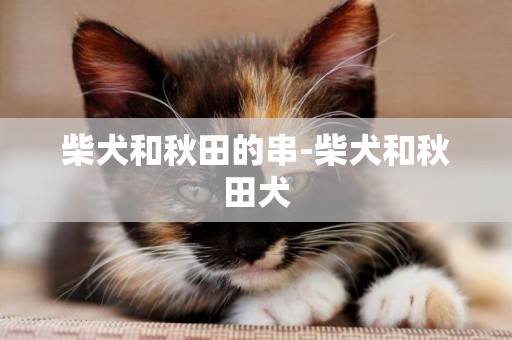 柴犬和秋田的串-柴犬和秋田犬