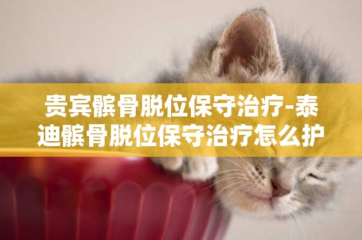 貴賓髕骨脫位保守治療-泰迪髕骨脫位保守治療怎么護理