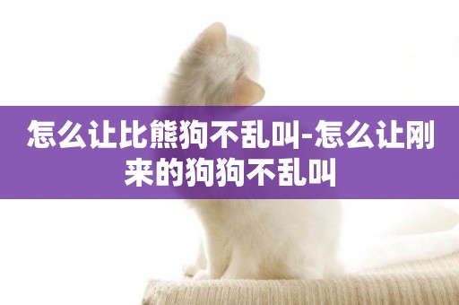 怎么讓比熊狗不亂叫-怎么讓剛來的狗狗不亂叫