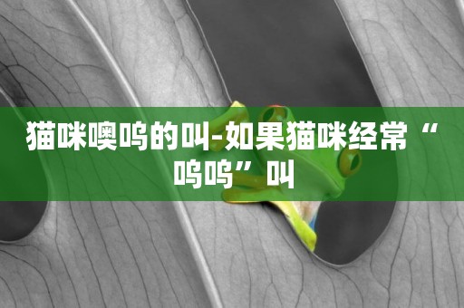 貓咪噢嗚的叫-如果貓咪經常“嗚嗚”叫