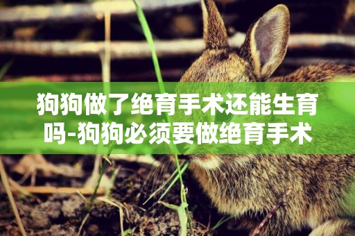 狗狗做了絕育手術還能生育嗎-狗狗必須要做絕育手術嗎