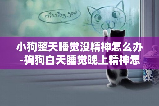 小狗整天睡覺沒精神怎么辦-狗狗白天睡覺晚上精神怎么辦