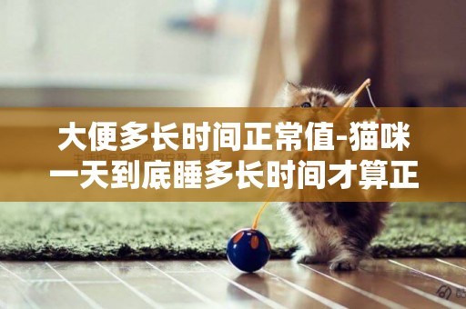大便多長時間正常值-貓咪一天到底睡多長時間才算正常