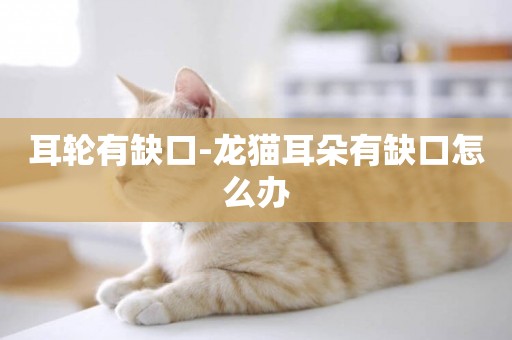 耳輪有缺口-龍貓耳朵有缺口怎么辦