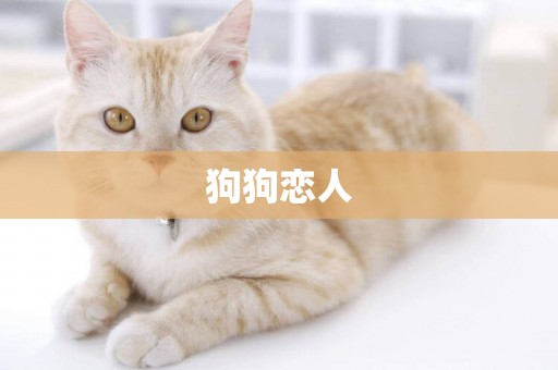 狗狗戀人