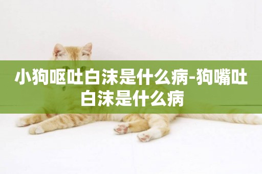 小狗嘔吐白沫是什么病-狗嘴吐白沫是什么病