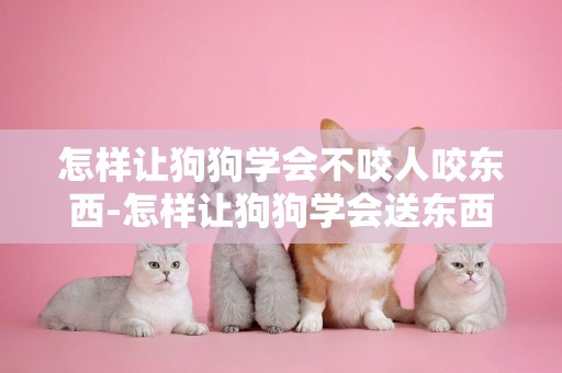 怎樣讓狗狗學會不咬人咬東西-怎樣讓狗狗學會送東西