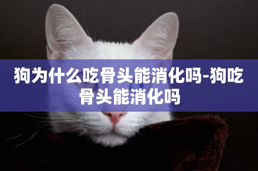 狗為什么吃骨頭能消化嗎-狗吃骨頭能消化嗎