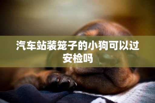 汽車站裝籠子的小狗可以過安檢嗎