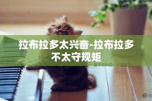拉布拉多太興奮-拉布拉多不太守規矩