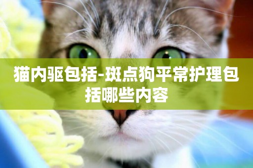 貓內驅包括-斑點狗平常護理包括哪些內容