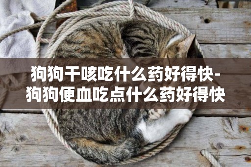 狗狗干咳吃什么藥好得快-狗狗便血吃點什么藥好得快