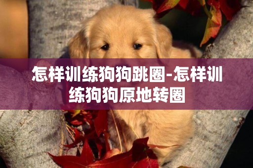 怎樣訓練狗狗跳圈-怎樣訓練狗狗原地轉圈