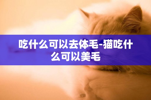 吃什么可以去體毛-貓吃什么可以美毛