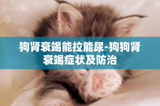 狗腎衰竭能拉能尿-狗狗腎衰竭癥狀及防治