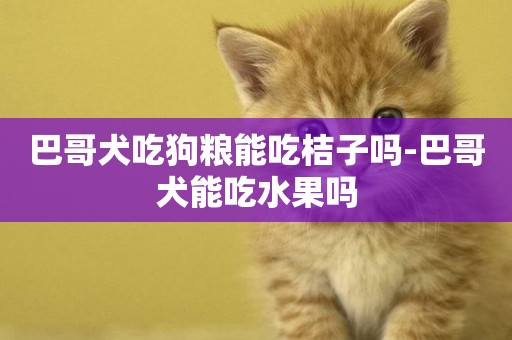 巴哥犬吃狗糧能吃桔子嗎-巴哥犬能吃水果嗎