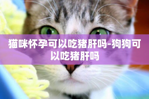貓咪懷孕可以吃豬肝嗎-狗狗可以吃豬肝嗎
