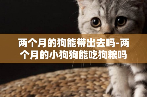 兩個月的狗能帶出去嗎-兩個月的小狗狗能吃狗糧嗎