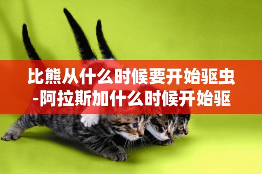 比熊從什么時候要開始驅蟲-阿拉斯加什么時候開始驅蟲比較好