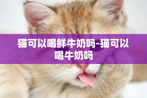 貓可以喝鮮牛奶嗎-貓可以喝牛奶嗎
