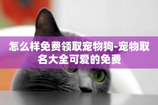 怎么樣免費領取寵物狗-寵物取名大全可愛的免費