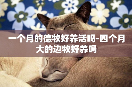 一個月的德牧好養活嗎-四個月大的邊牧好養嗎