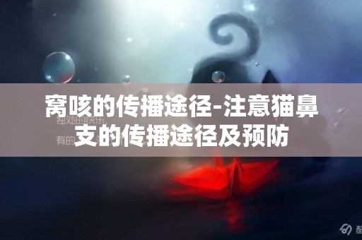 窩咳的傳播途徑-注意貓鼻支的傳播途徑及預防