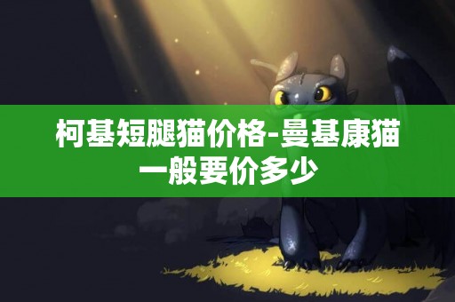 柯基短腿貓價格-曼基康貓一般要價多少