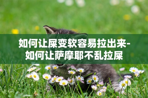 如何讓屎變軟容易拉出來-如何讓薩摩耶不亂拉屎