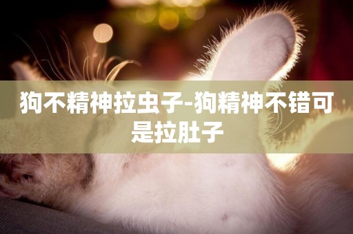 狗不精神拉蟲子-狗精神不錯可是拉肚子