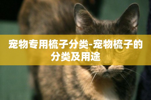 寵物專用梳子分類-寵物梳子的分類及用途