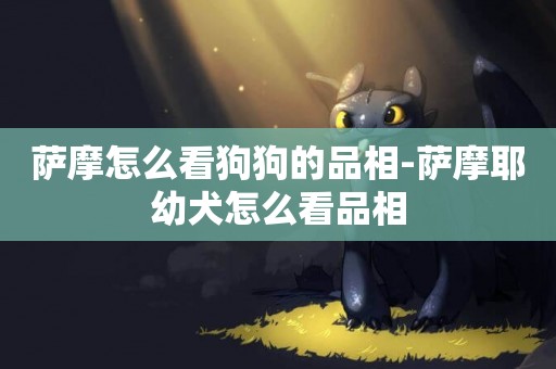 薩摩怎么看狗狗的品相-薩摩耶幼犬怎么看品相