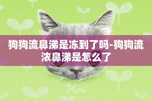 狗狗流鼻涕是凍到了嗎-狗狗流濃鼻涕是怎么了