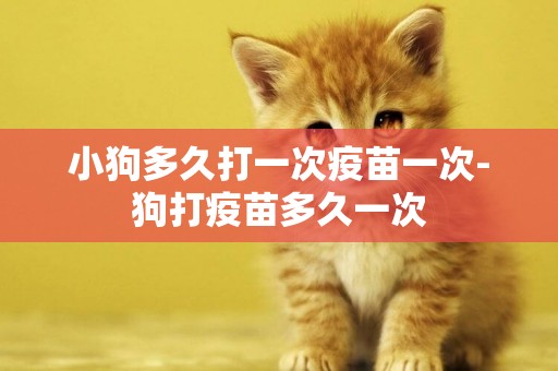 小狗多久打一次疫苗一次-狗打疫苗多久一次
