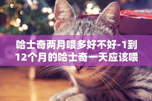 哈士奇兩月喂多好不好-1到12個月的哈士奇一天應該喂幾頓