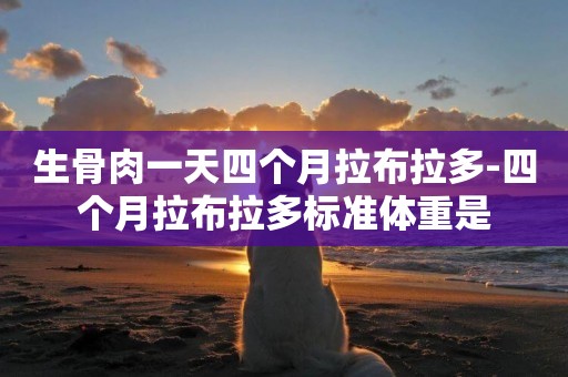 生骨肉一天四個月拉布拉多-四個月拉布拉多標準體重是