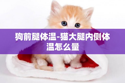 狗前腿體溫-貓大腿內側體溫怎么量