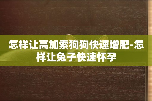 怎樣讓高加索狗狗快速增肥-怎樣讓兔子快速懷孕