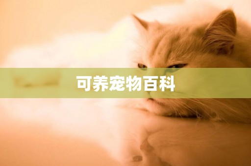 可養寵物百科