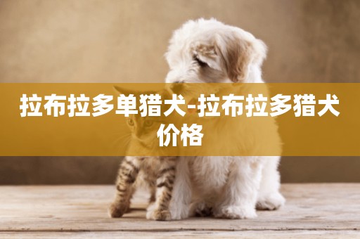 拉布拉多單獵犬-拉布拉多獵犬價格