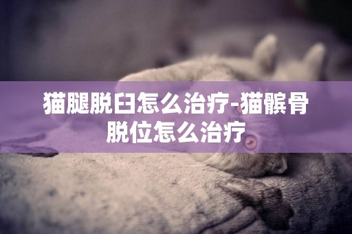 貓腿脫臼怎么治療-貓髕骨脫位怎么治療