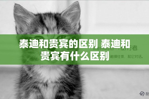 泰迪和貴賓的區別 泰迪和貴賓有什么區別