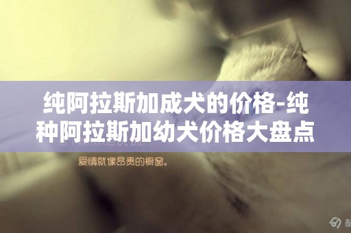 純阿拉斯加成犬的價格-純種阿拉斯加幼犬價格大盤點