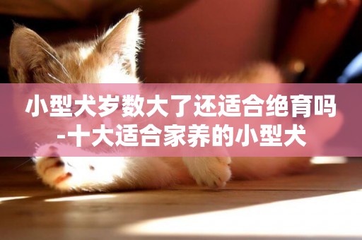 小型犬歲數大了還適合絕育嗎-十大適合家養的小型犬