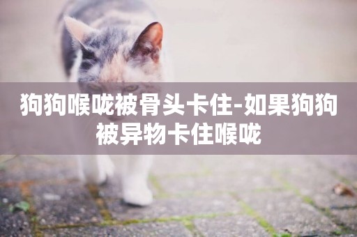 狗狗喉嚨被骨頭卡住-如果狗狗被異物卡住喉嚨