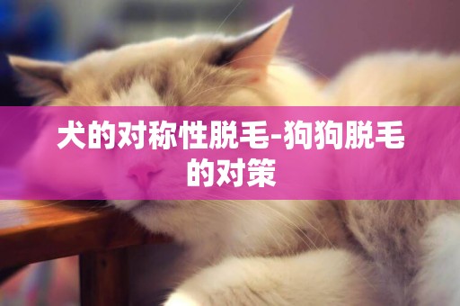 犬的對稱性脫毛-狗狗脫毛的對策
