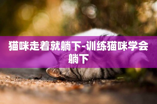 貓咪走著就躺下-訓練貓咪學會躺下