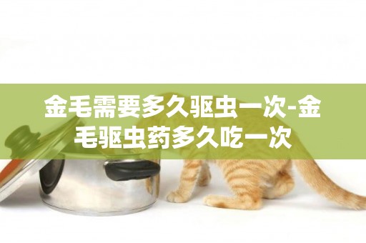 金毛需要多久驅蟲一次-金毛驅蟲藥多久吃一次
