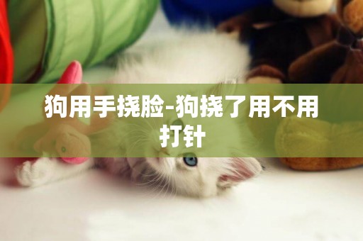 狗用手撓臉-狗撓了用不用打針
