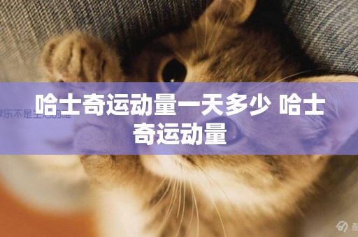 哈士奇運動量一天多少 哈士奇運動量